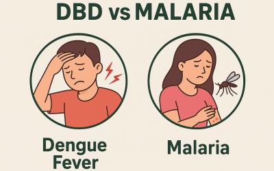 Sama-Sama disebabkan oleh Nyamuk, Apa Perbedaan DBD dan Malaria?